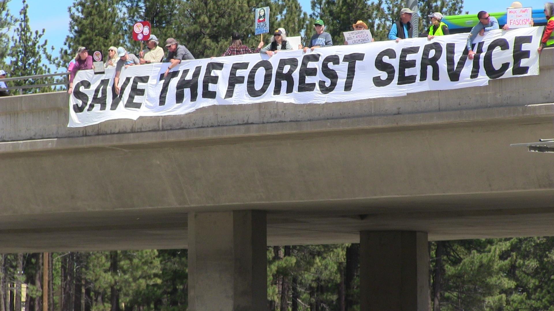 Indivisible Tahoe Truckee members hold a 'Save the Forest Service' banner on a highway overpass surrounded by pine trees